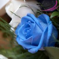 سمیِّه صباح ((گُلنار)) سمیِّه صباح ((گُلنار))