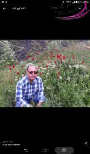 محمد حاصلی محمد حاصلی
