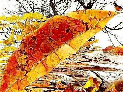 لیلا سهندی لیلا سهندی