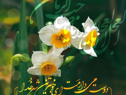 مرضیه  رضایی (رها)