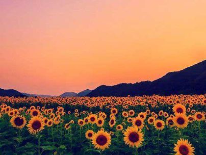طوبی مقدم طوبی مقدم