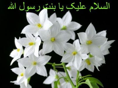 یاس کبود یاس کبود