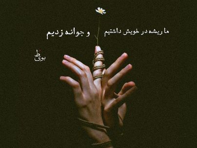 نرگس غلامی نرگس غلامی