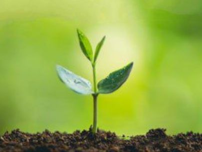 اسحاق محمدی اسحاق محمدی
