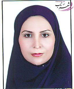 ویداوکیلی ویداوکیلی