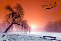منصور موسوی منصور موسوی