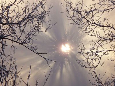 معصومه داداش بهمنی معصومه داداش بهمنی