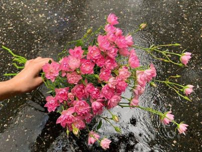 نازنین راضی نازنین راضی
