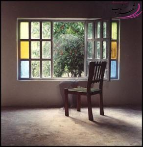 حامی تنها حامی تنها