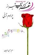 امير حسين اميريان .د امير حسين اميريان .د
