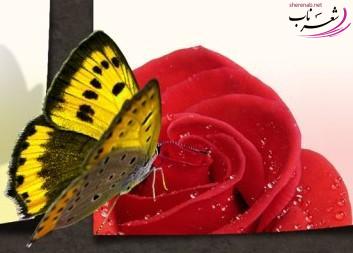 ترانه بهاری(رنگین کمان) ترانه بهاری(رنگین کمان)