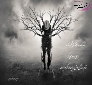 امیررضا انصاری امیررضا انصاری