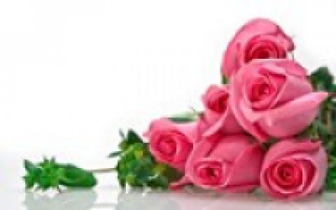 مژگان منوچهری مژگان منوچهری