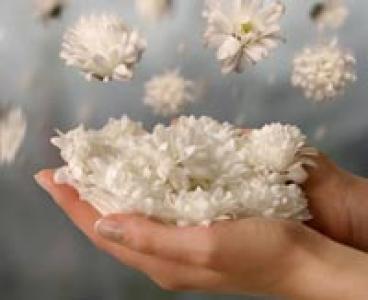 مومن مقدم(روح انگیز) مومن مقدم(روح انگیز)