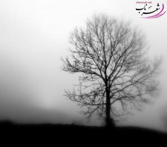 مریم پترامی مریم پترامی