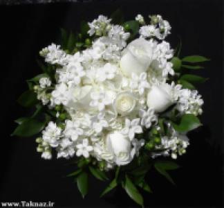 پگــآه آریایی پگــآه آریایی
