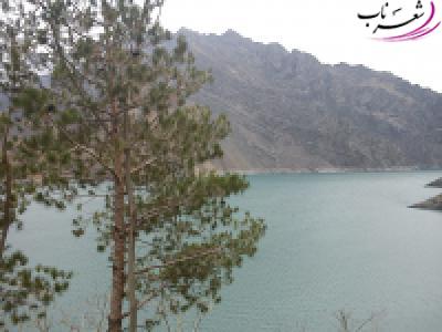 فاطمه نجف زاده فاطمه نجف زاده