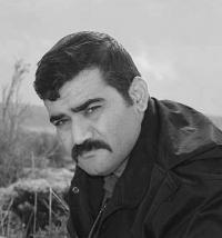 رضا نظری رضا نظری