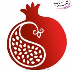 امیر یزدی (انار) امیر یزدی (انار)