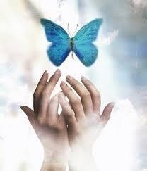 سودابه برزگر سودابه برزگر