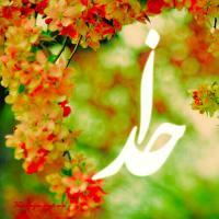 فاطمه سهرابی پور فاطمه سهرابی پور