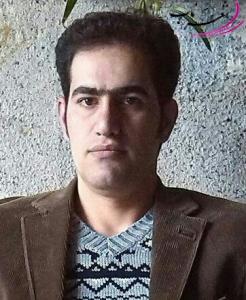 حامدلونی حامدلونی