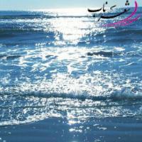 پانته آ عسکری پانته آ عسکری