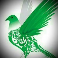 میرعاشقان میرعاشقان