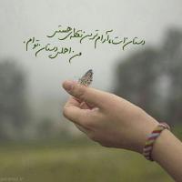 سارا الهیاری سارا الهیاری