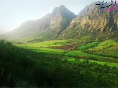 محمد دارایی محمد دارایی