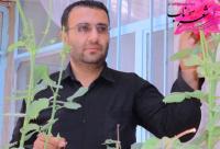 شایان نجاتی شایان نجاتی