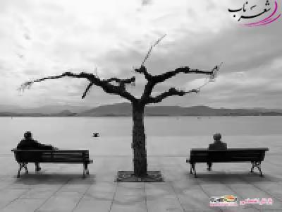 سعید پایدار سعید پایدار