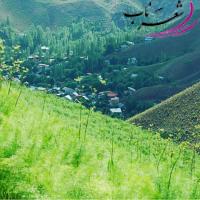 سمیرا شکرالهی سمیرا شکرالهی