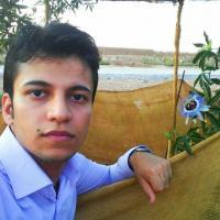 پویا نعمت الهی پویا نعمت الهی