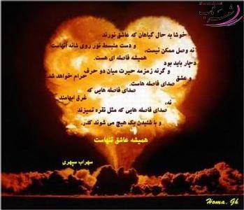 محمدتنها محمدتنها